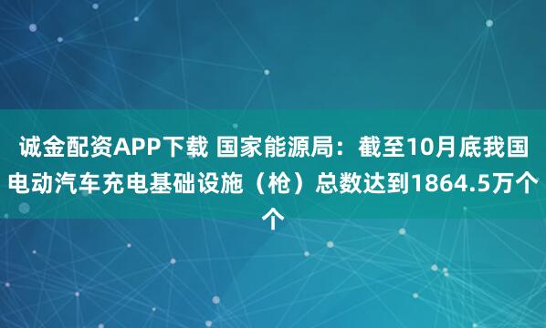 诚金配资APP下载 国家能源局：截至10月底我国电动汽车充电基础设施（枪）总数达到1864.5万个